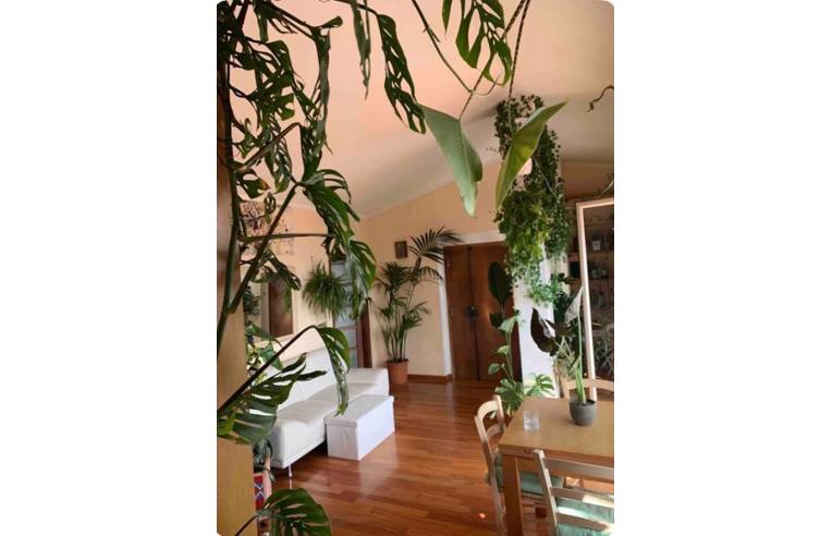 camera singola in affitto a Perugia in zona Centro Città