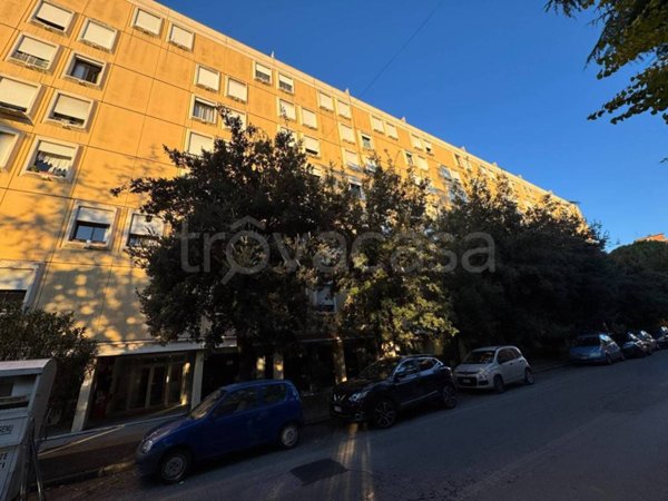 appartamento in affitto a Perugia in zona Elce
