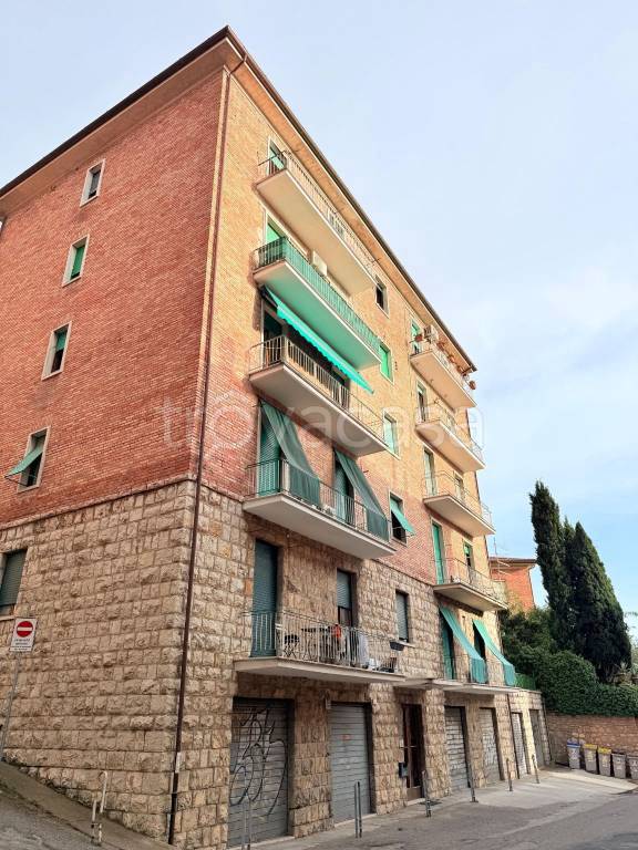 appartamento in affitto a Perugia