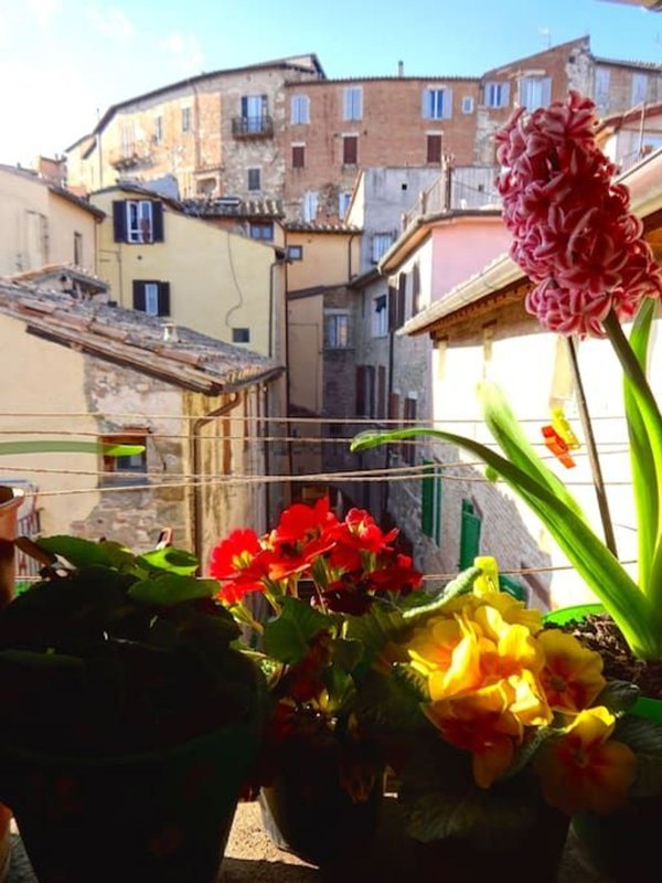 appartamento in affitto a Perugia in zona Centro Città
