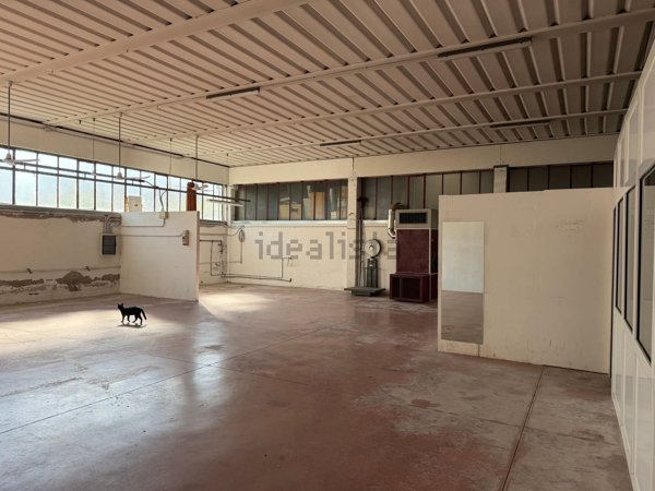 ufficio in affitto a San Giustino in zona Celalba