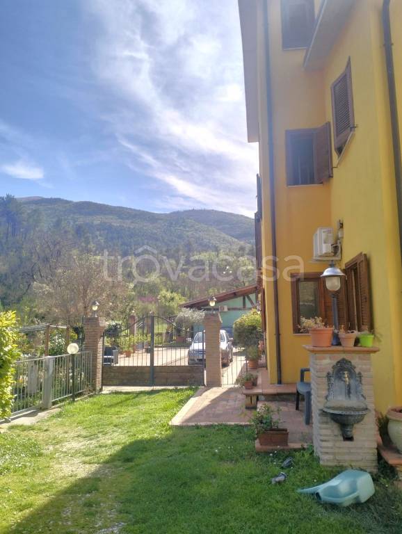 appartamento in affitto a Scheggino in zona Ceselli