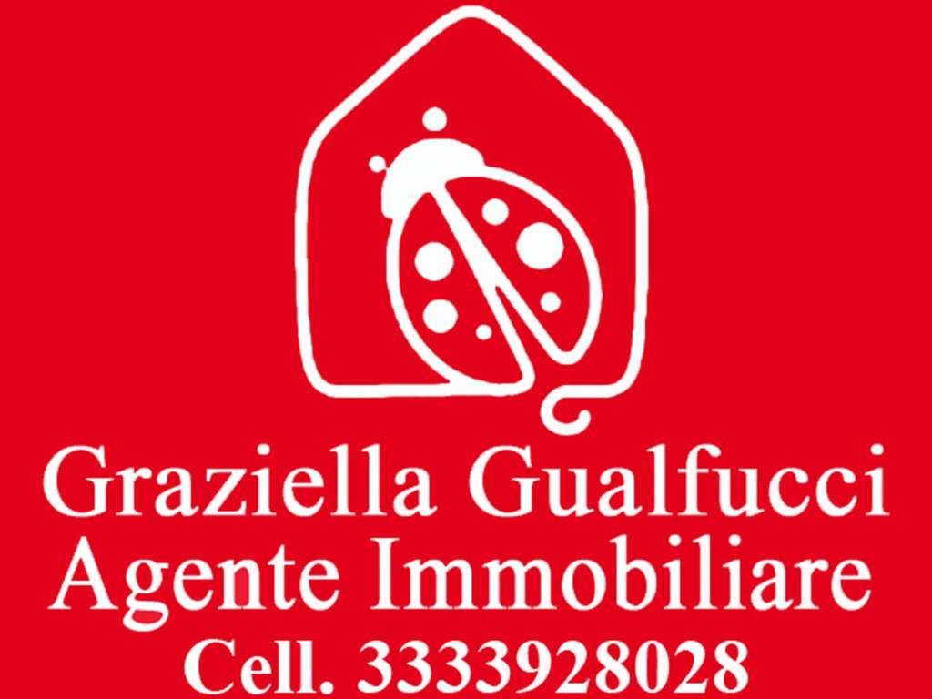 appartamento in affitto a Spoleto