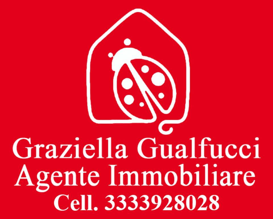 appartamento in affitto a Spoleto