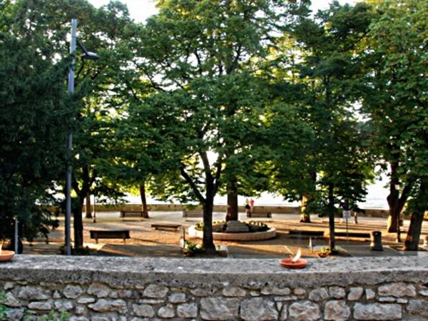 immagine annuncio 0 di 5