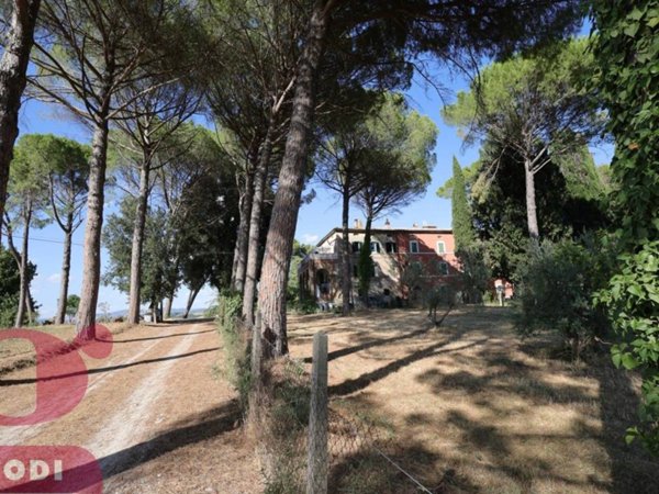 appartamento in affitto a Todi