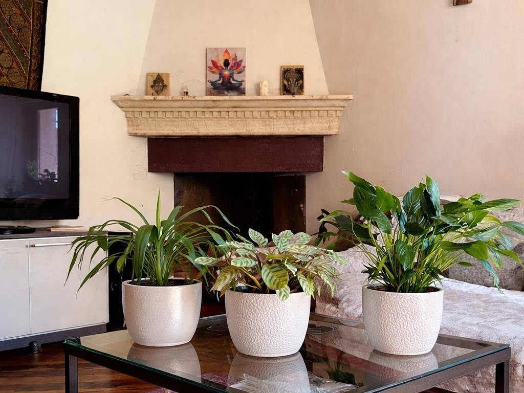 appartamento in affitto a Todi