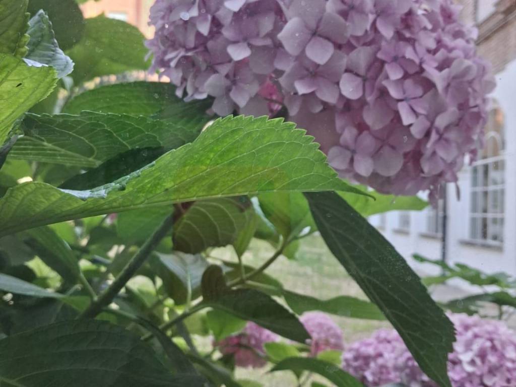 appartamento in affitto a Todi in zona Pantalla