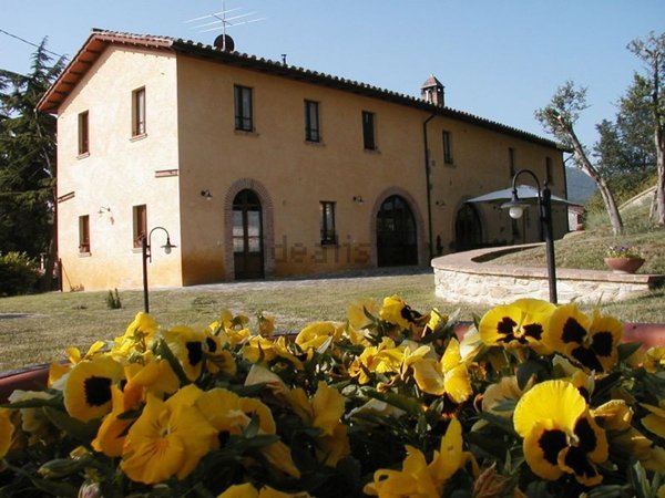 appartamento in affitto ad Umbertide