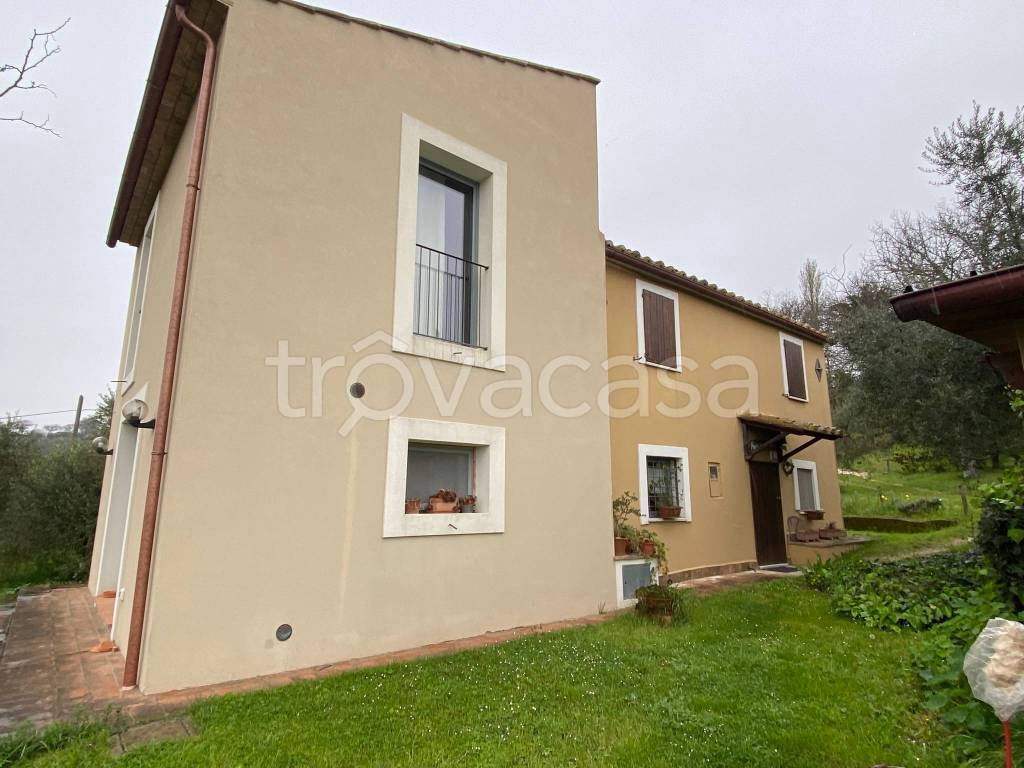 casa indipendente in affitto ad Amelia