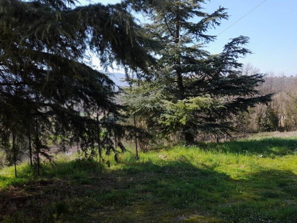 appartamento in affitto ad Amelia