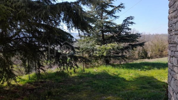 appartamento in affitto ad Amelia