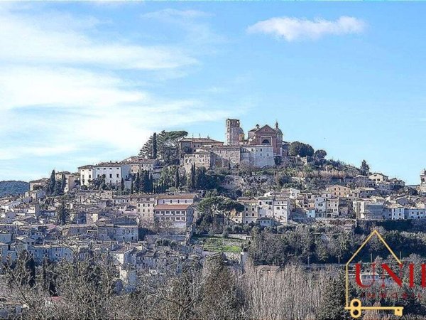 appartamento in affitto ad Amelia