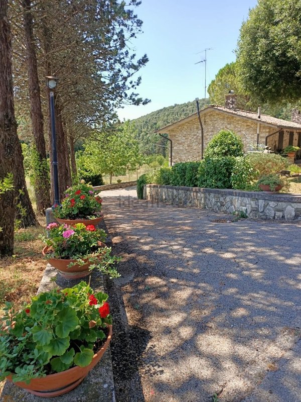 casale in affitto ad Amelia