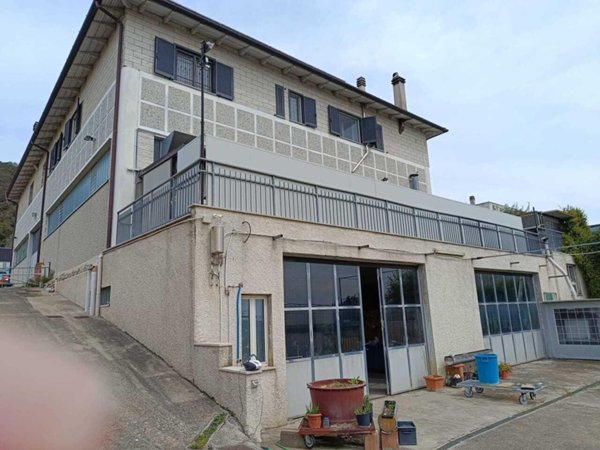 esavano in affitto ad Amelia