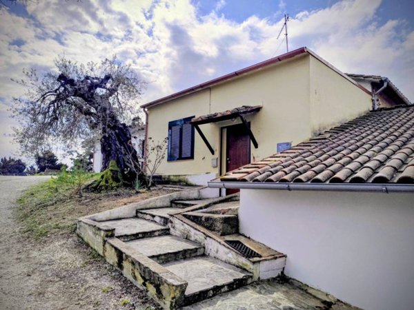 casa indipendente in affitto ad Amelia