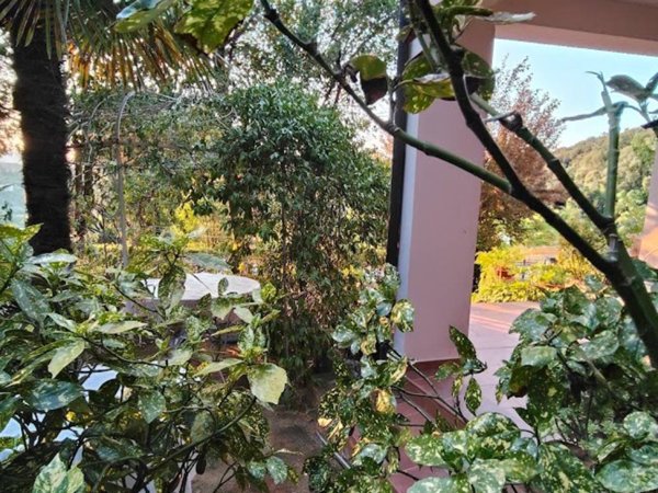 casa indipendente in affitto ad Amelia