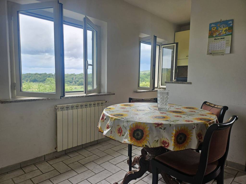appartamento in affitto ad Attigliano