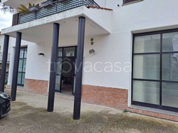 negozio in affitto a Fabro