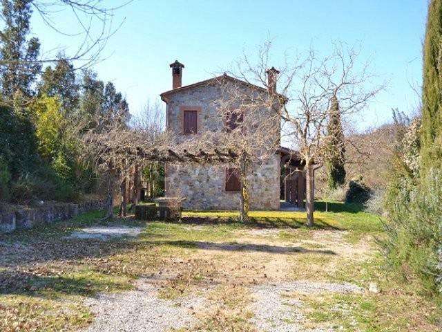 appartamento in affitto a Ficulle