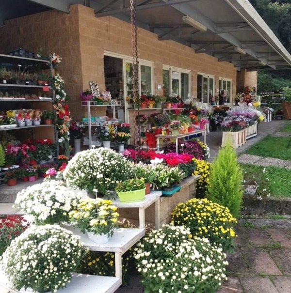 negozio in affitto a Narni in zona Narni Scalo