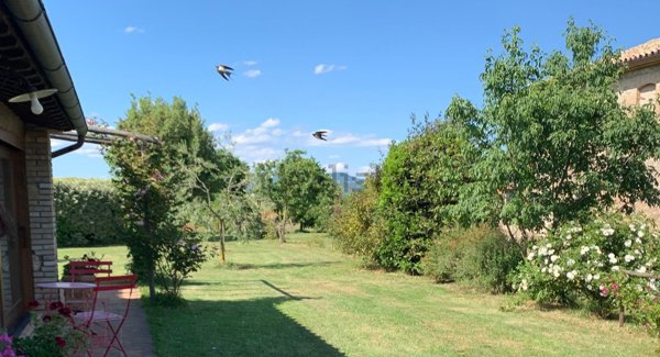 appartamento in affitto ad Orvieto