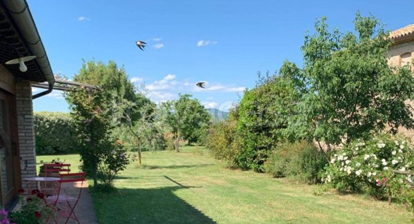 appartamento in affitto ad Orvieto