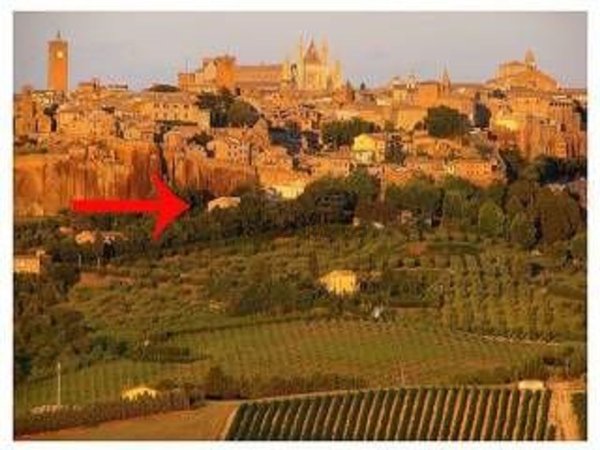 appartamento in affitto ad Orvieto