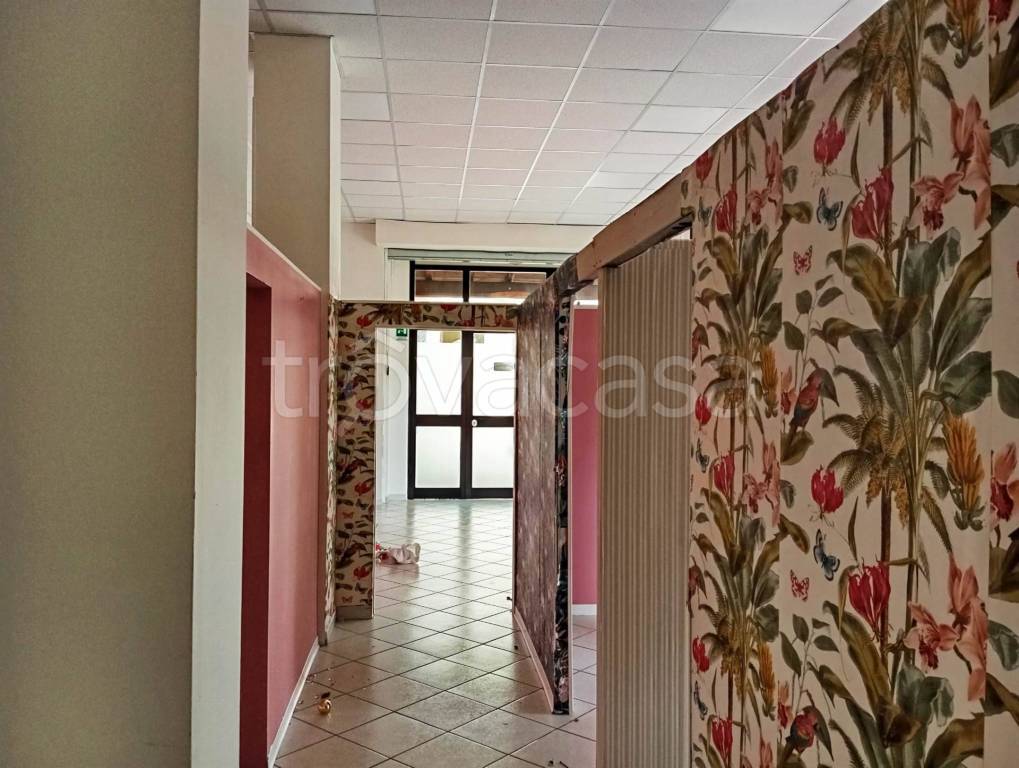 negozio in affitto a Terni in zona Rivo