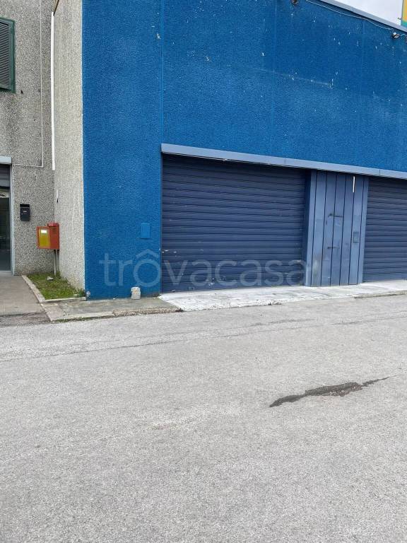 appartamento in affitto a Terni