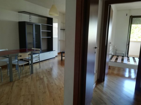 appartamento in affitto a Terni