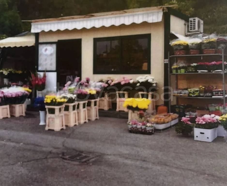 monolocale in affitto a Terni in zona Vocabolo Valenza