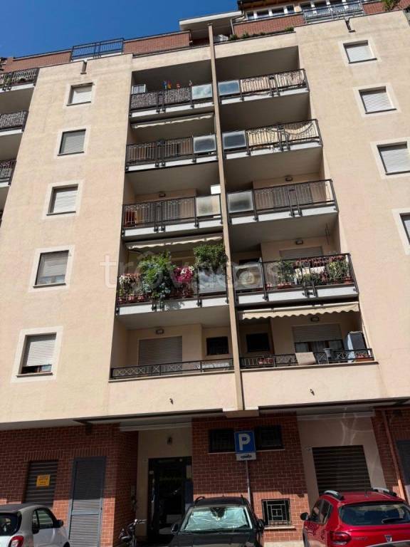 appartamento in affitto a Terni