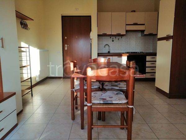 appartamento in affitto a Terni