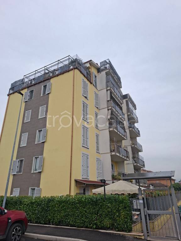 appartamento in affitto a Terni