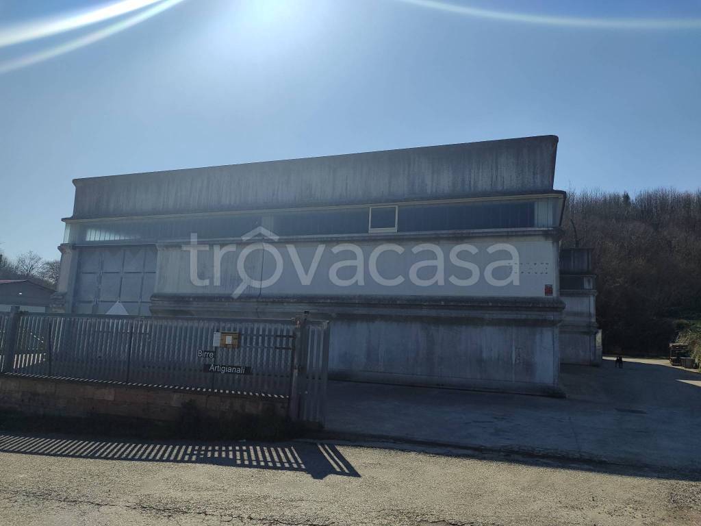 monolocale in affitto a Bassano Romano