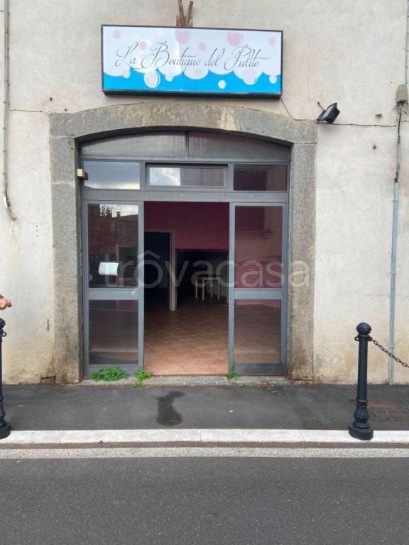 appartamento in affitto a Bolsena