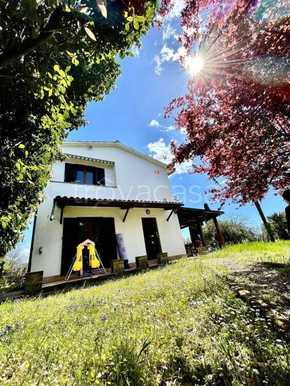 casa indipendente in affitto a Bolsena