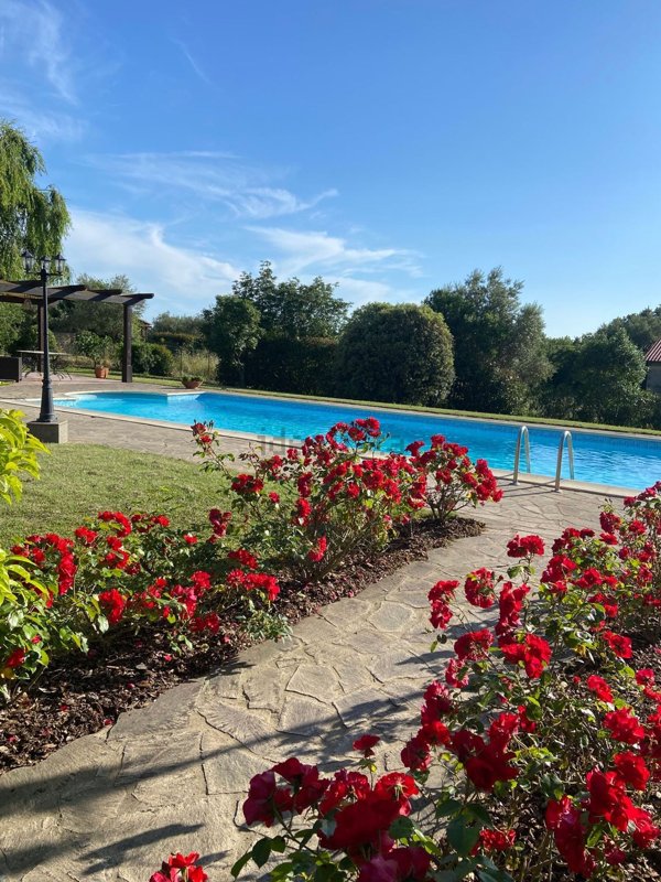 casa indipendente in affitto a Bolsena