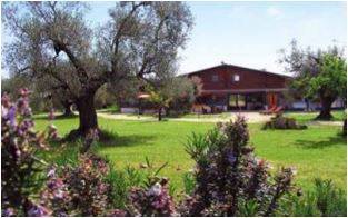 appartamento in affitto a Canino
