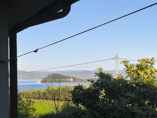 appartamento in affitto a Capodimonte