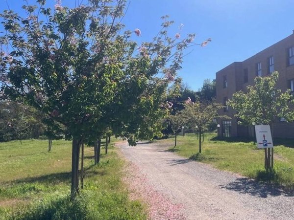 intera palazzina in affitto a Capranica