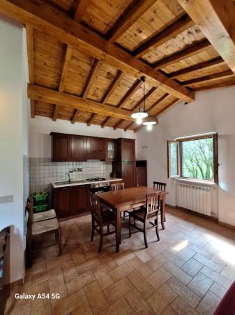 casa indipendente in affitto a Caprarola