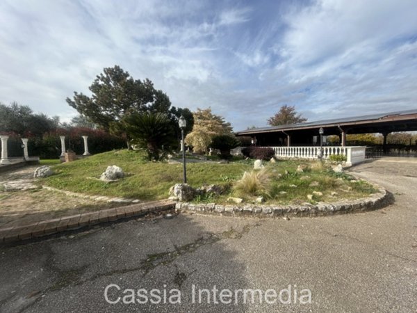 negozio in affitto a Civita Castellana
