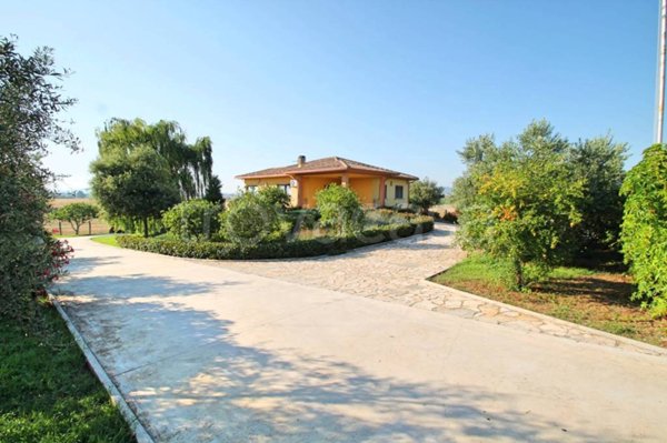 casa indipendente in affitto a Montalto di Castro