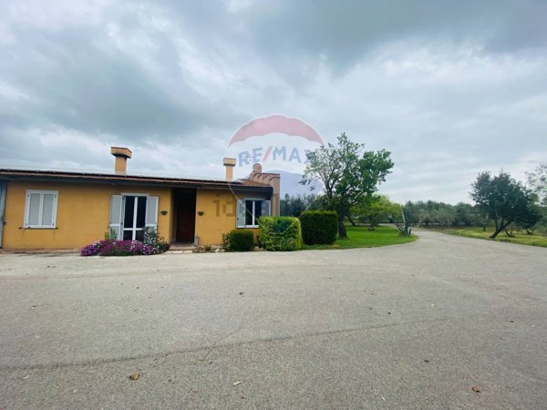 appartamento in affitto a Montalto di Castro