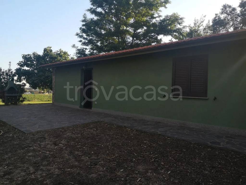 casa indipendente in affitto a Montalto di Castro