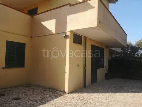 appartamento in affitto a Montalto di Castro in zona Pescia Romana