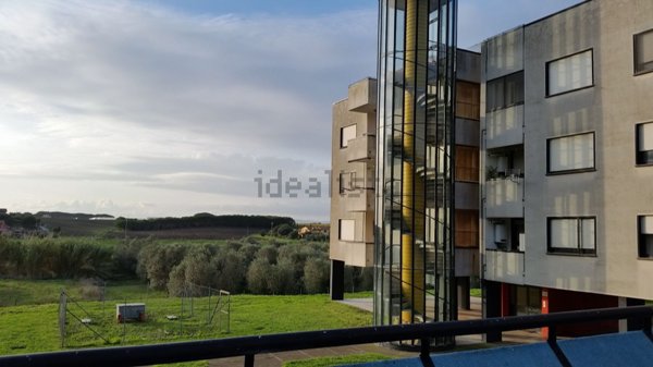 appartamento in affitto a Montalto di Castro in zona Pescia Romana