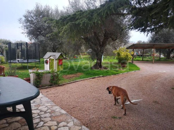 appartamento in affitto a Montalto di Castro in zona Pescia Romana